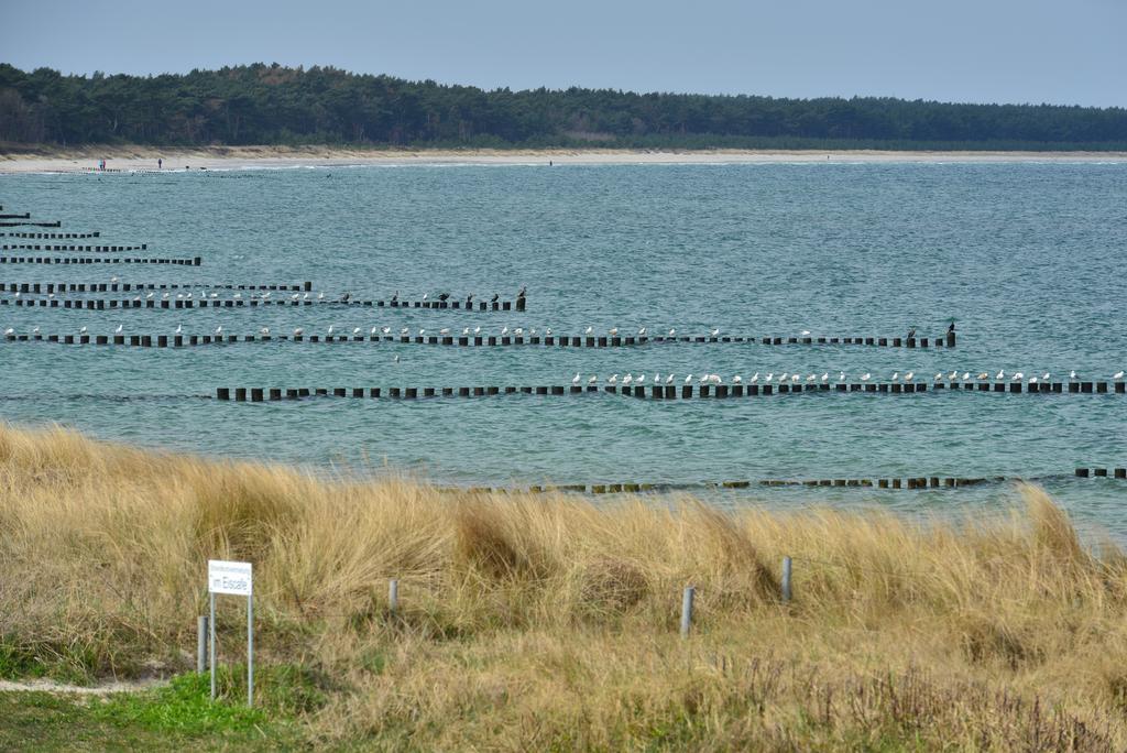 Ferienwohnung Traumstrand Glowe Bagian luar foto